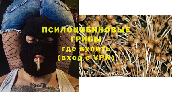 прущий лед Аркадак