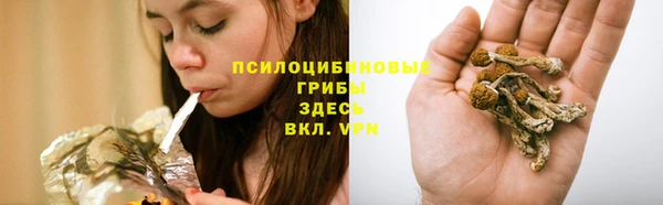 прущий лед Аркадак