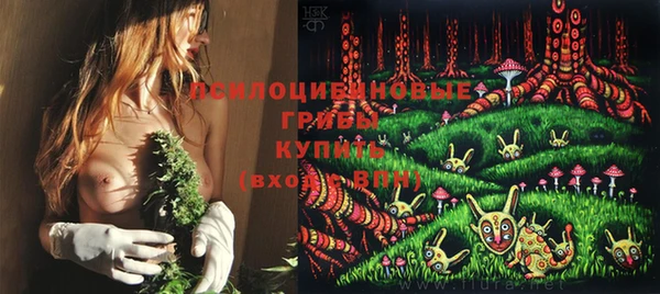 гидра Сатка