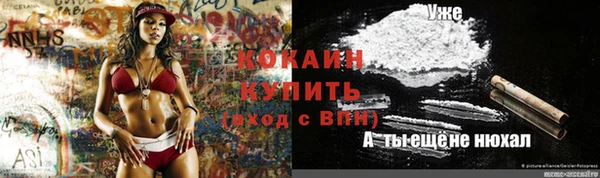 дмт Армянск